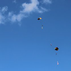 Ruzovy Panter navrat